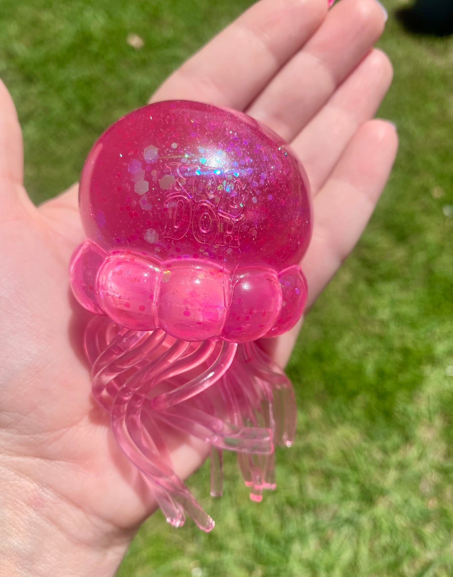 Medium Size Jellyfish